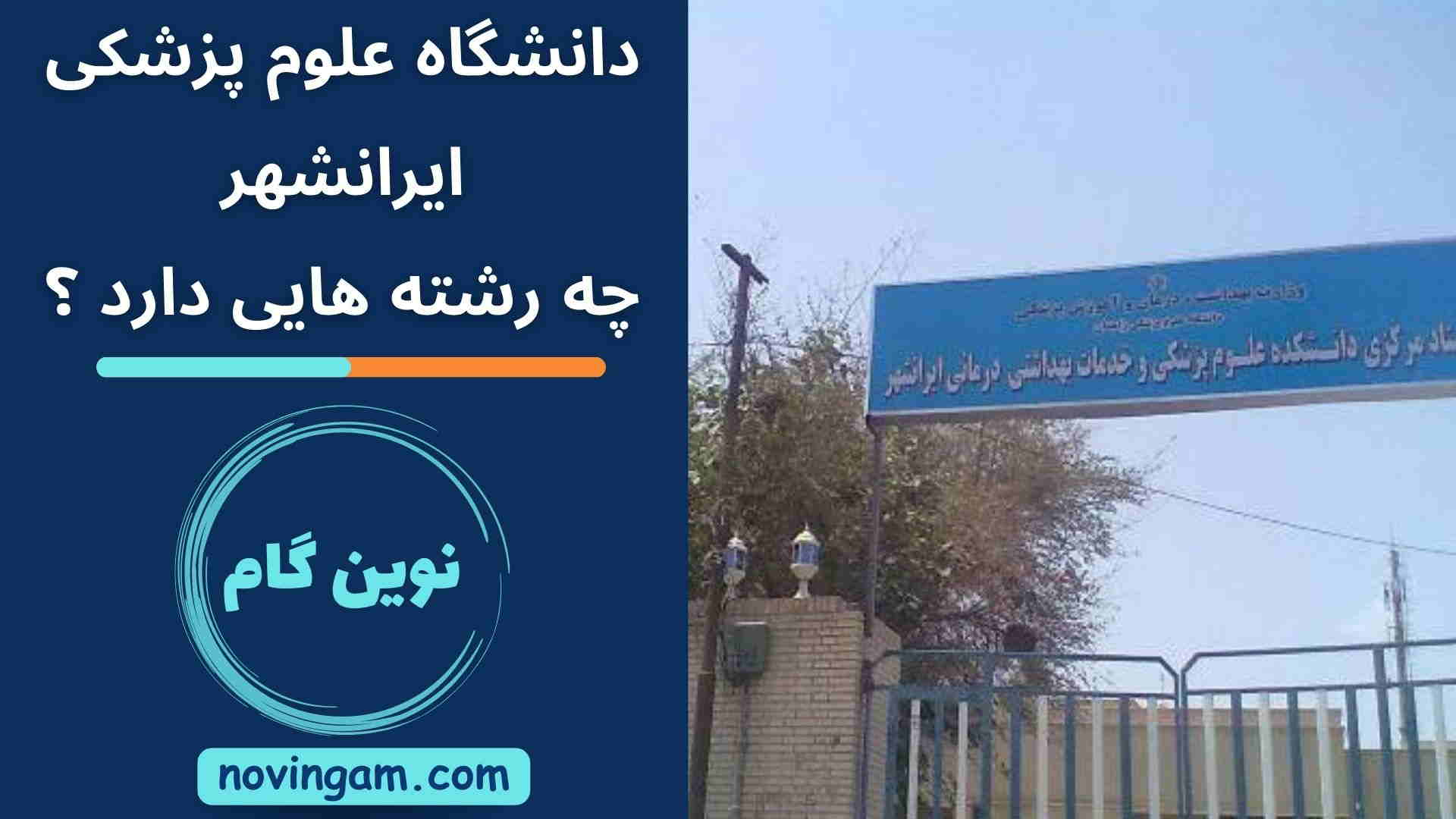 دانشگاه علوم پزشکی ایرانشهر چه رشته هایی دارد ؟