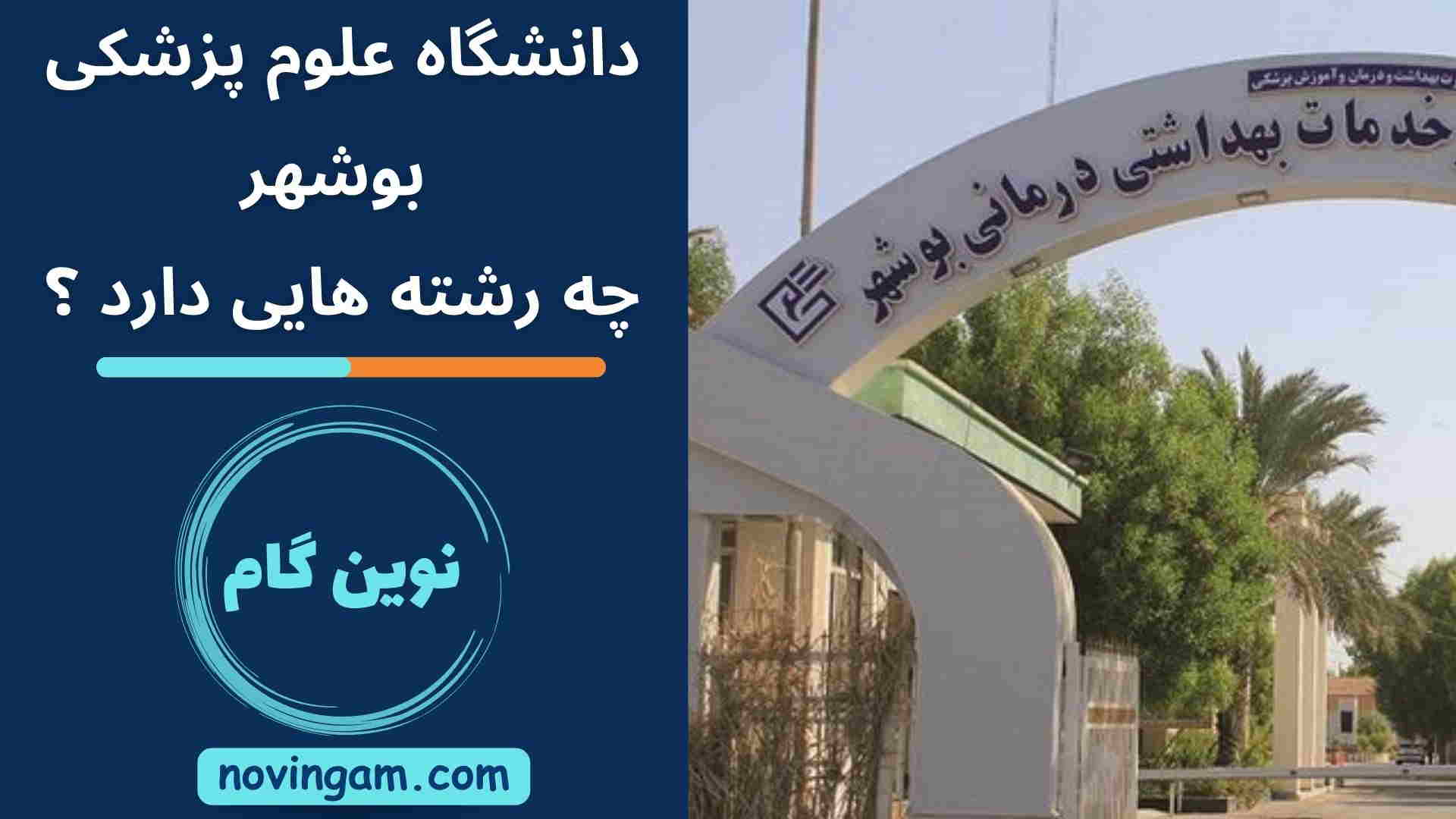 دانشگاه علوم پزشکی بوشهر چه رشته هایی دارد ؟