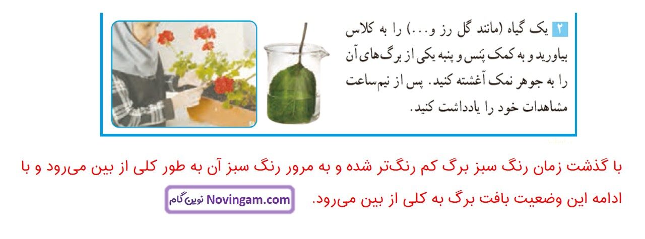 جواب صفحه 23 و 24 علوم ششم قسمت چهارم