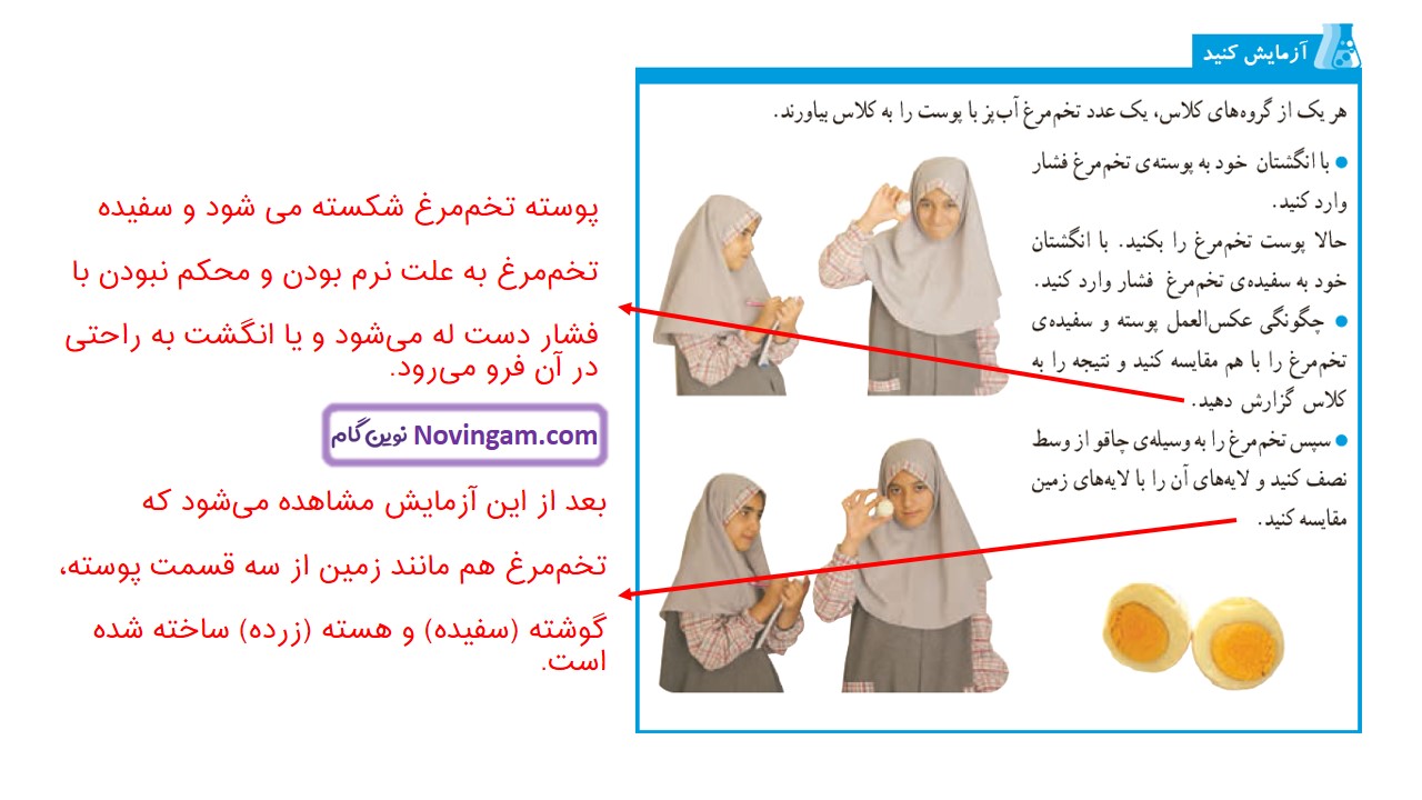 جواب صفحه 32 علوم ششم
