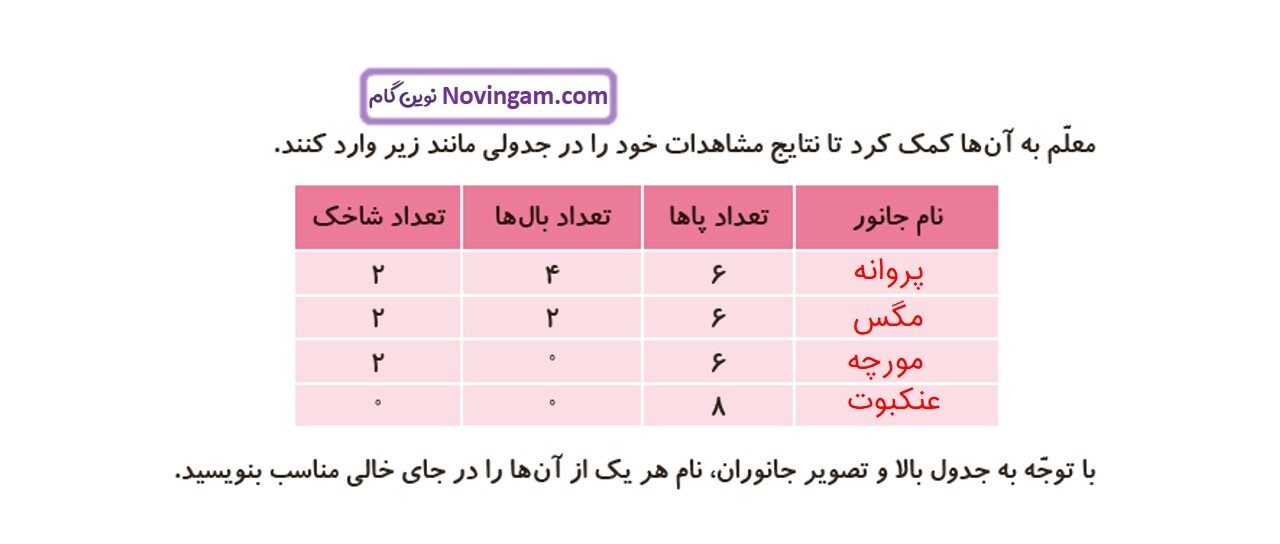 جواب صفحه ۸ علوم سوم