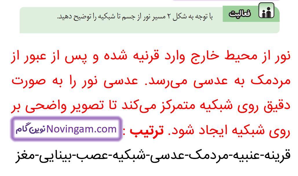 جواب فعالیت صفحه 37 علوم هشتم