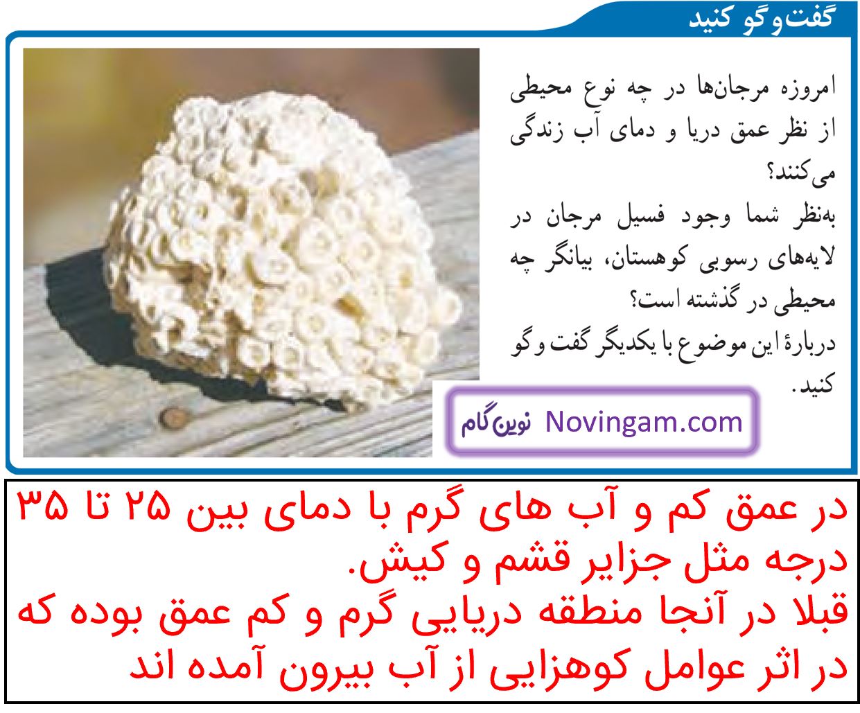 گفت و گو کنید صفحه 82 علوم پایه نهم