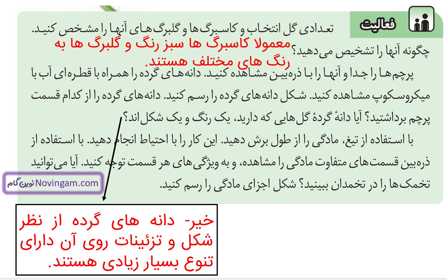جواب فعالیت صفحه 74 علوم هشتم