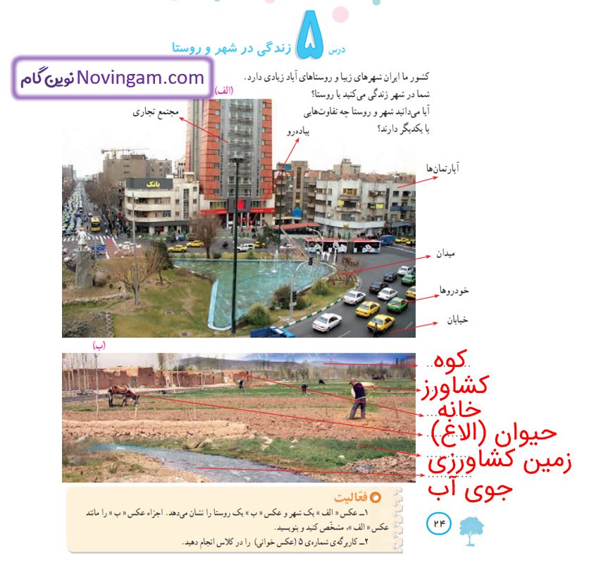 جواب فعالیت صفحه 24 مطالعات چهارم