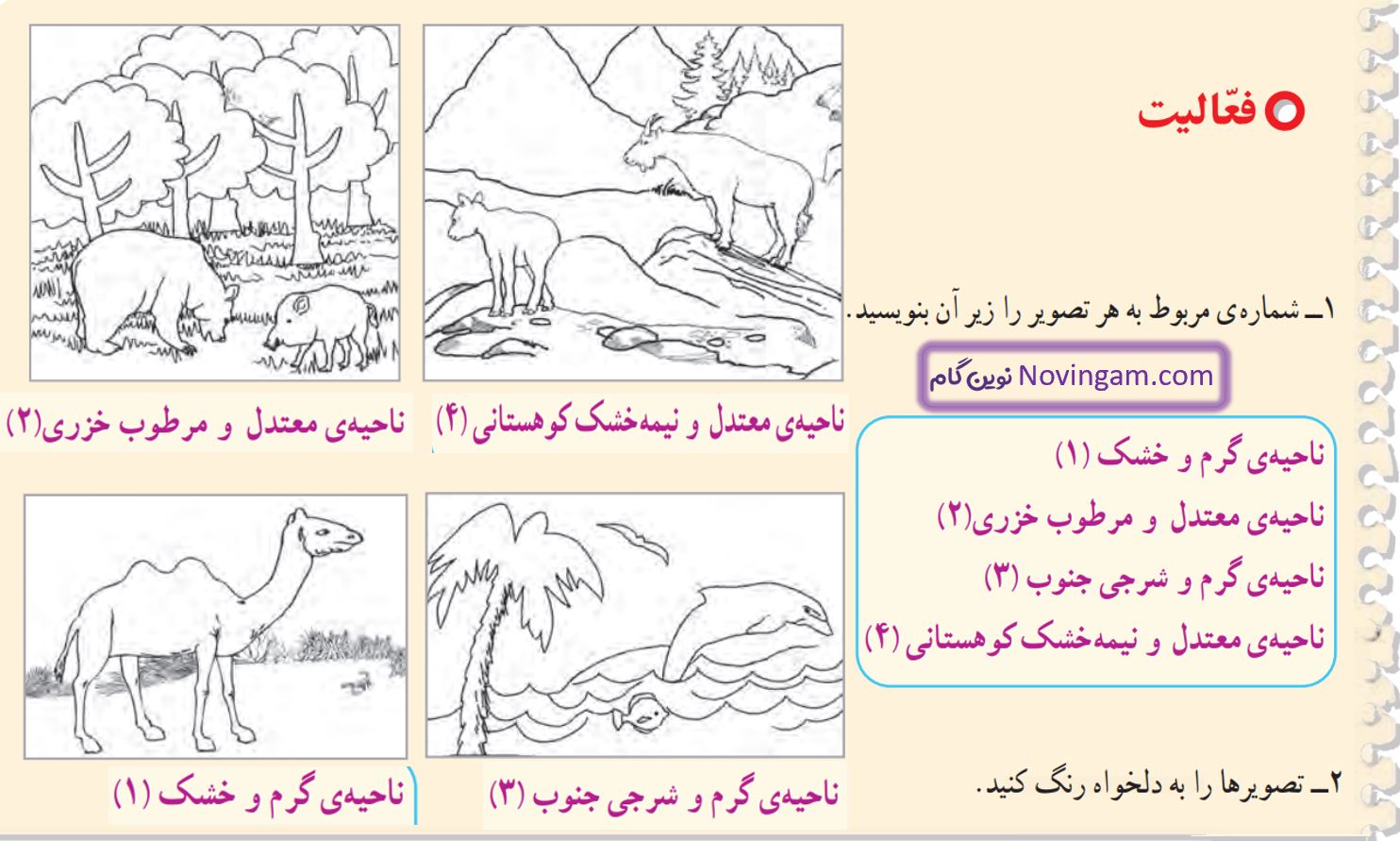 جواب فعالیت صفحه 93 مطالعات چهارم