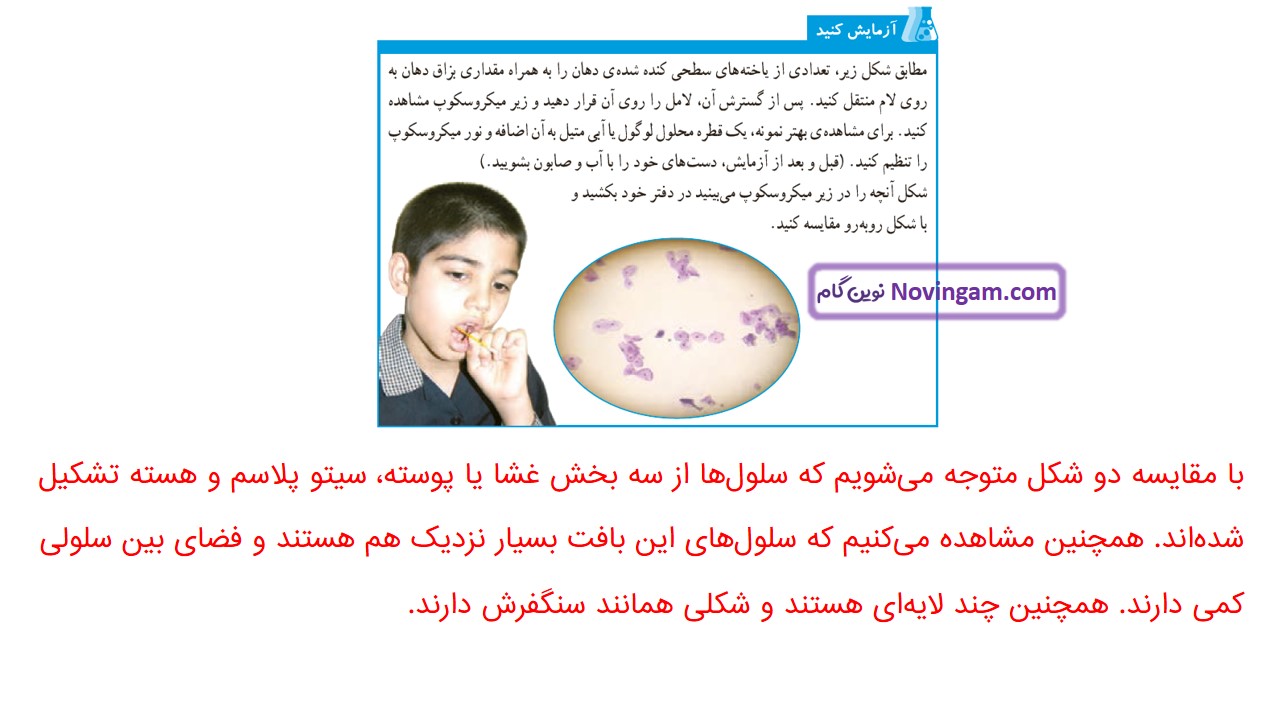 جواب صفحه ۷۸ علوم ششم قسمت سوم