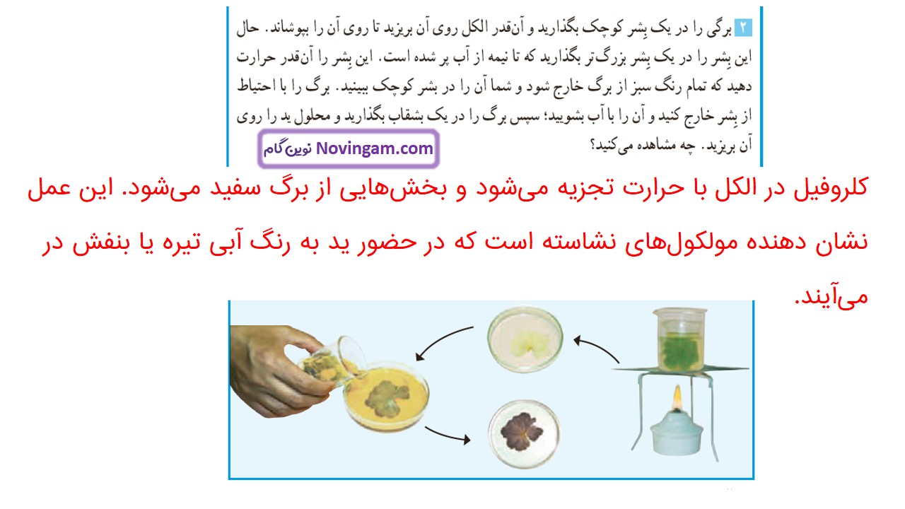 جواب صفحه ۸۰ و ۸۱ علوم ششم قسمت دوم