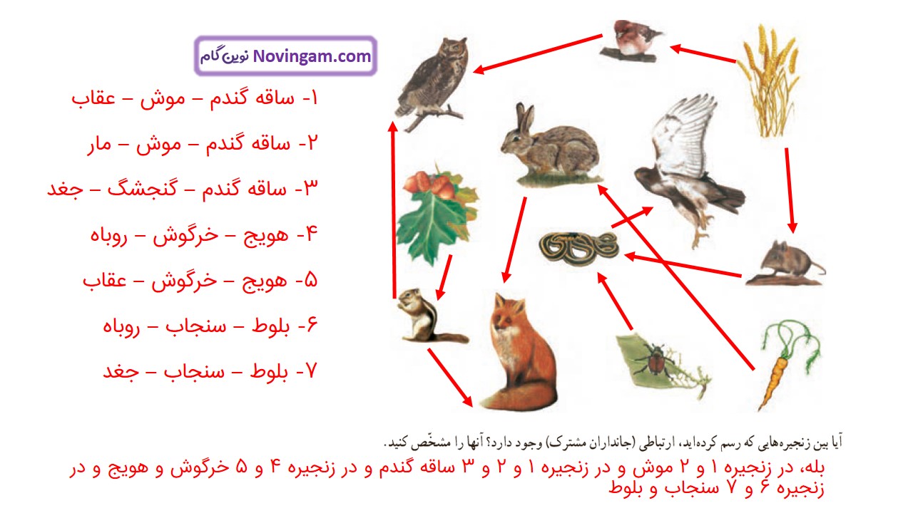 جواب صفحه ۸۴ و ۸۵ علوم ششم قسمت اول