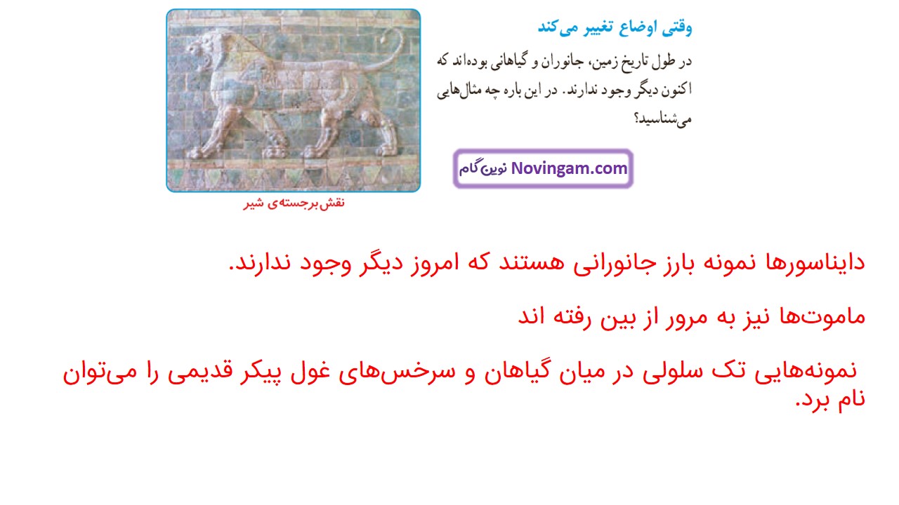 جواب صفحه ۹۰ علوم ششم قسمت سوم