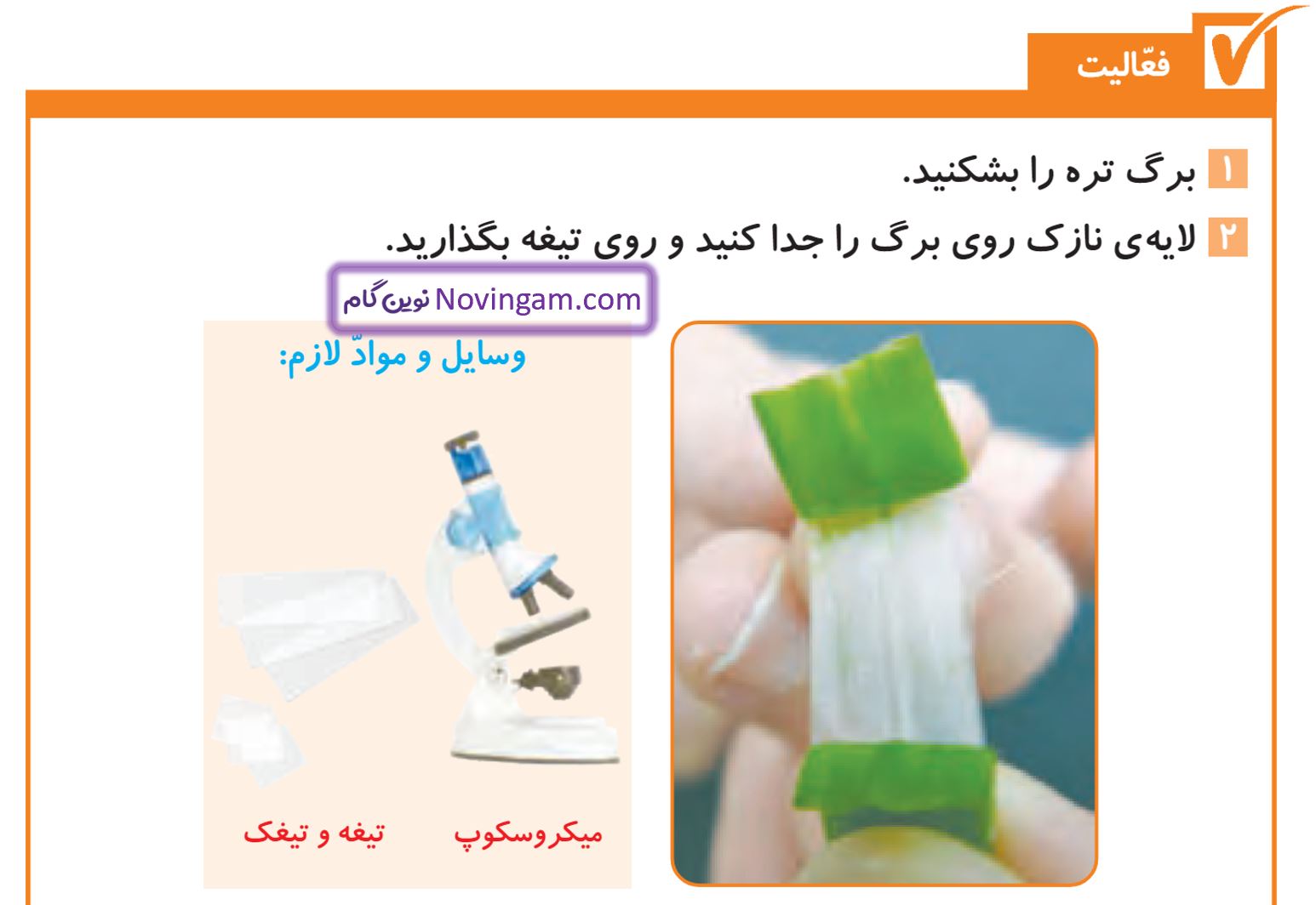 جواب فعالیت صفحه 103 و 104 علوم پنجم قسمت 1