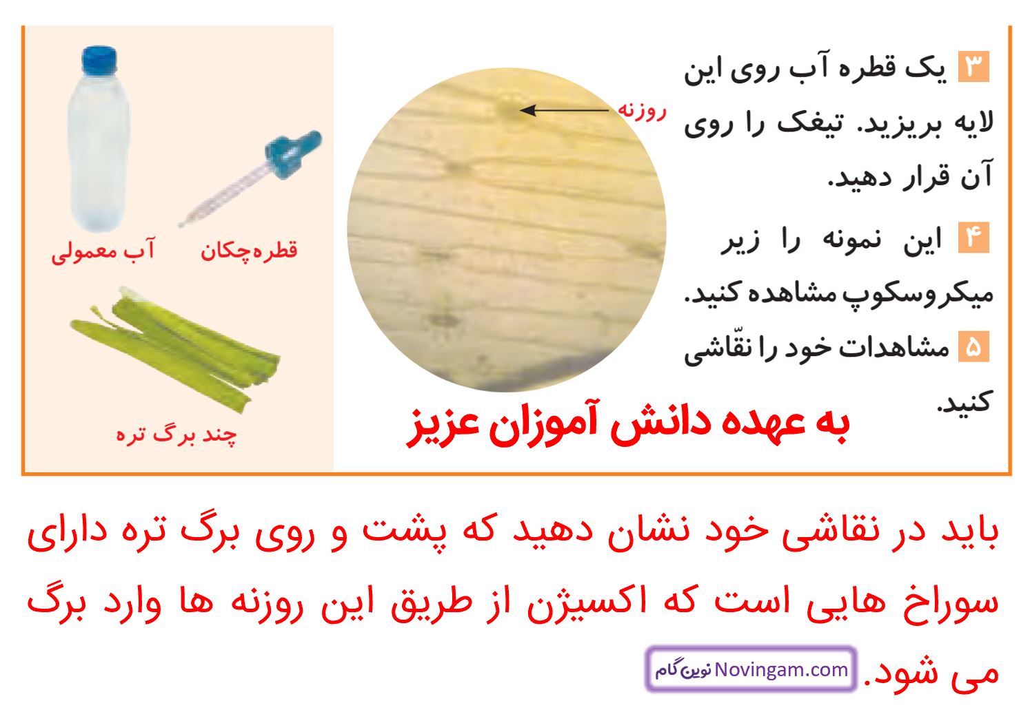 جواب فعالیت صفحه 103 و 104 علوم پنجم قسمت 2