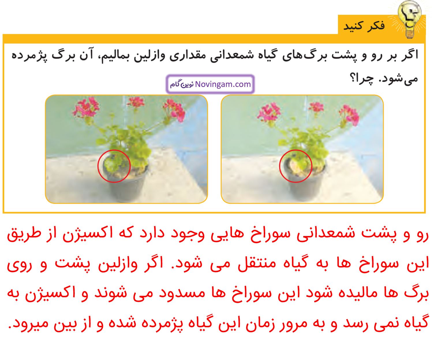 جواب فکر کنید صفحه 104 علوم پنجم