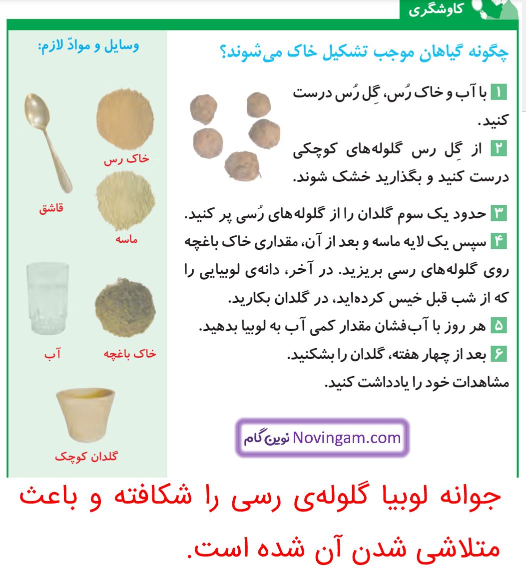 جواب کاوشگری صفحه 81 و 82 علوم پنجم قسمت 1