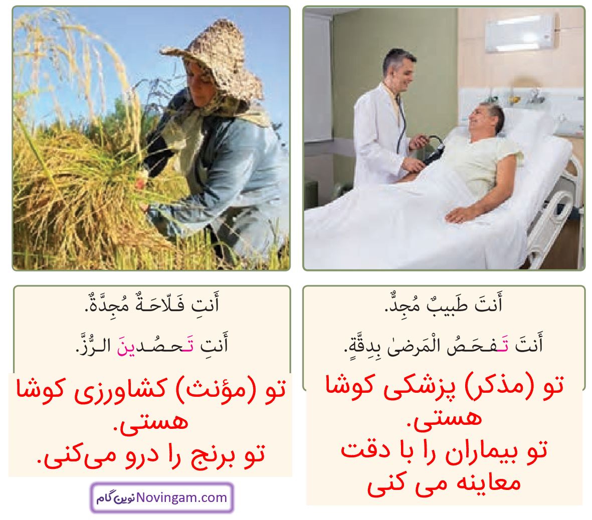 جواب التمرین الثانی صفحه 40 و 41 عربی هشتم قسمت 2