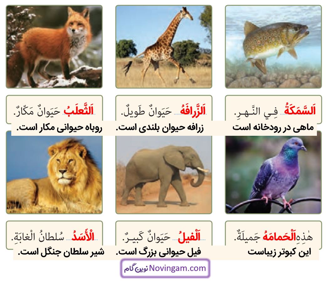 جواب التمرین السادس صفحه 70 عربی نهم قسمت 2