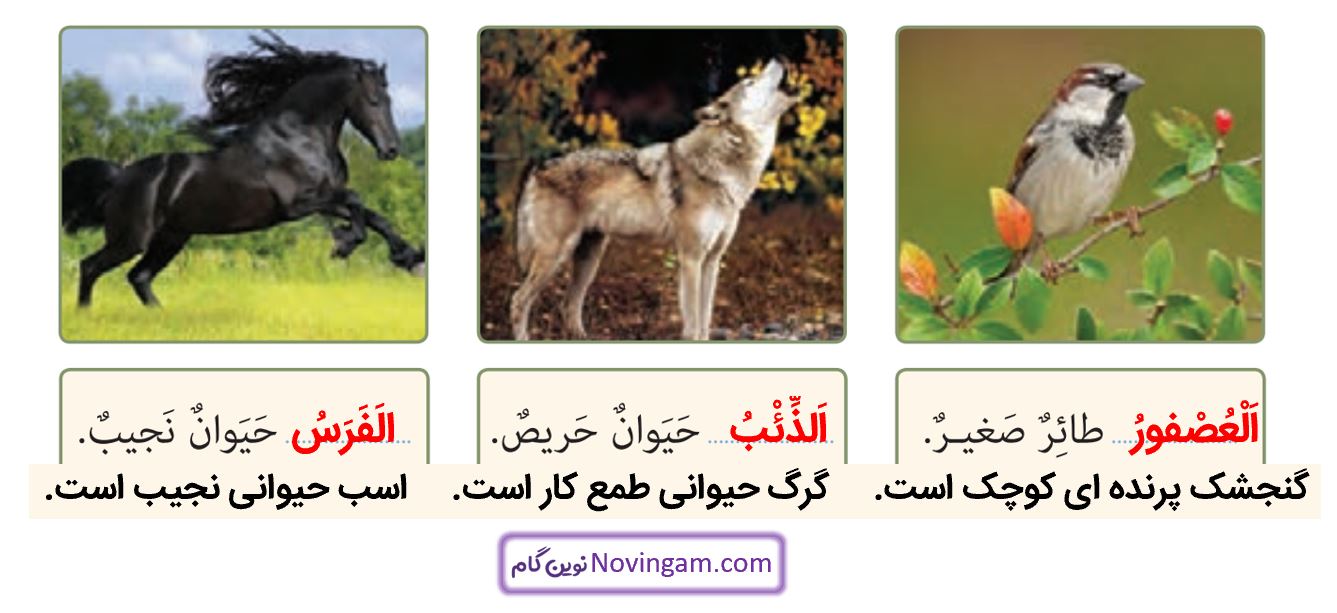 جواب التمرین السادس صفحه 70 عربی نهم قسمت 3