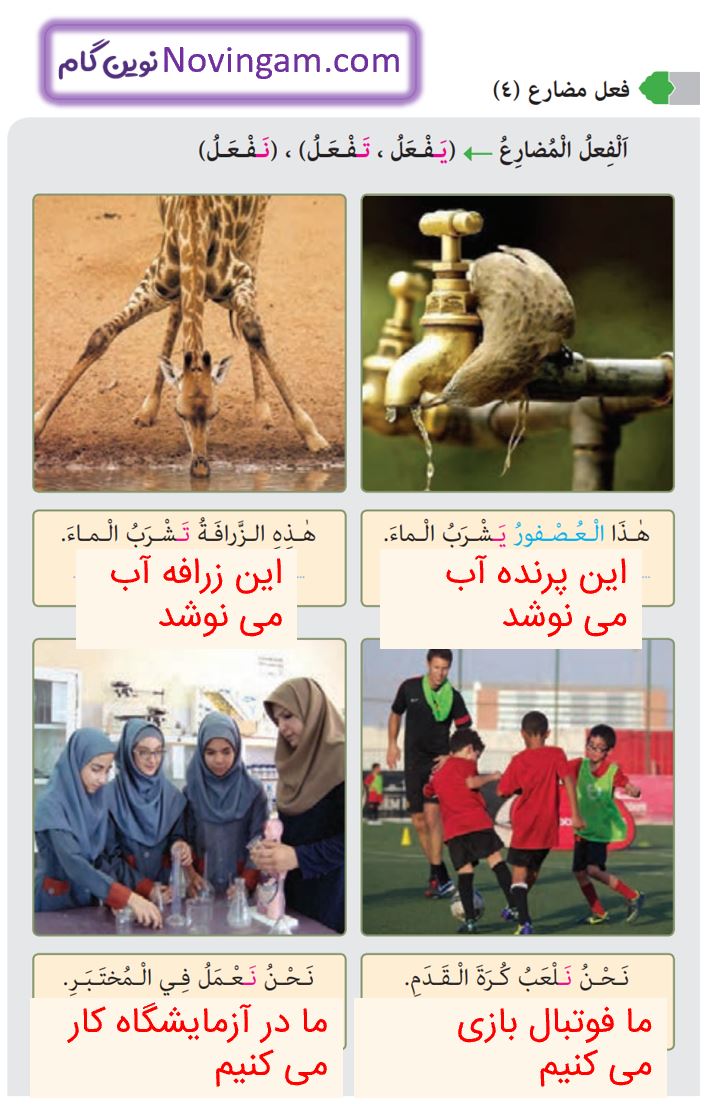 جواب فعل مضارع صفحه 65 عربی هشتم