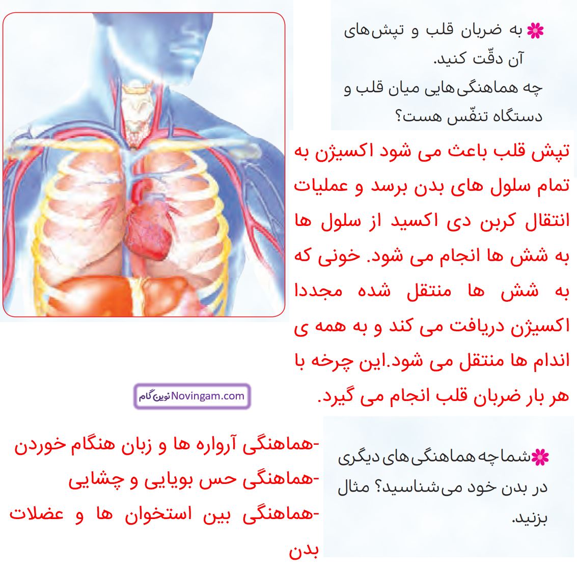 جواب تدبر کنیم صفحه 16 و 17 هدیه پنجم 2