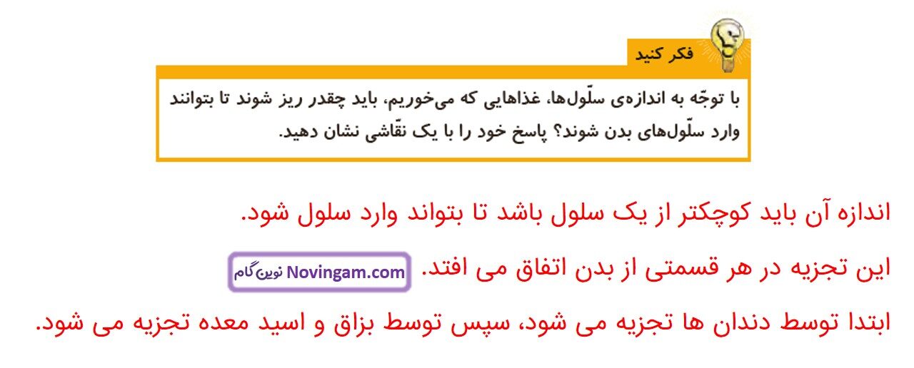 جواب صفحه ۷۹ و ۸۰ علوم چهارم قسمت سوم