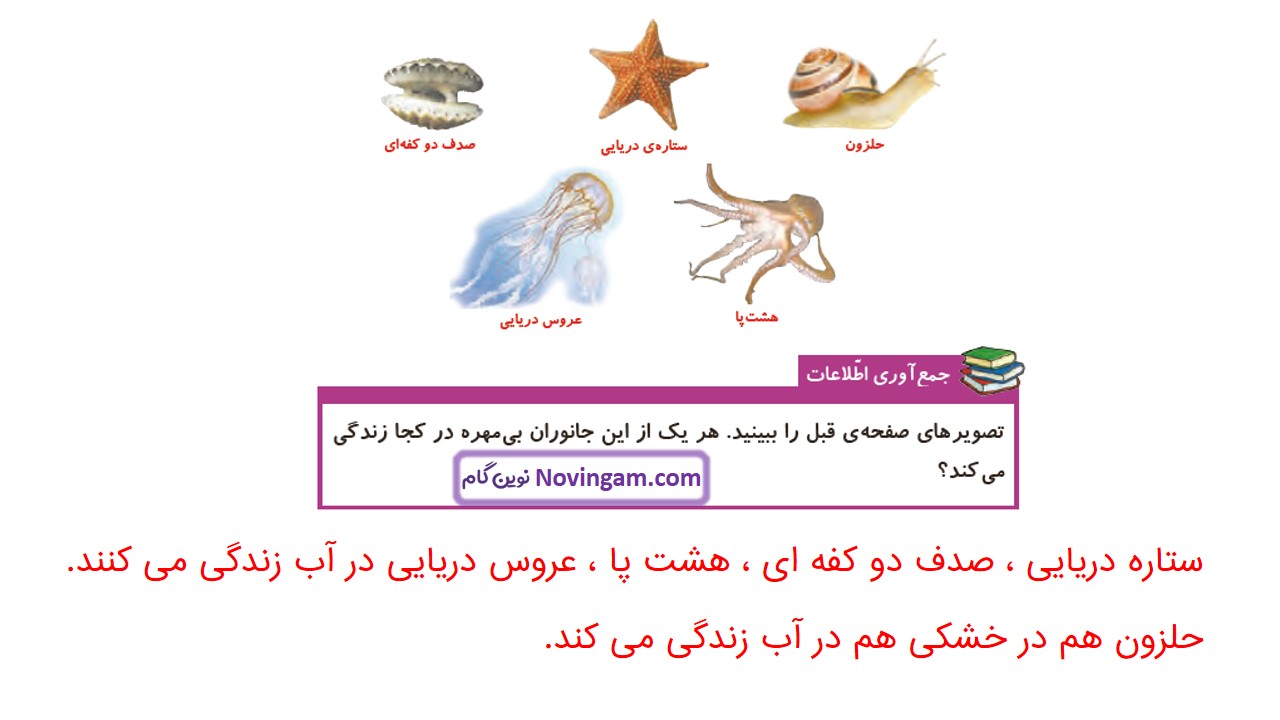 جواب صفحه ۱۰۱ و ۱۰۲ علوم چهارم قسمت اول
