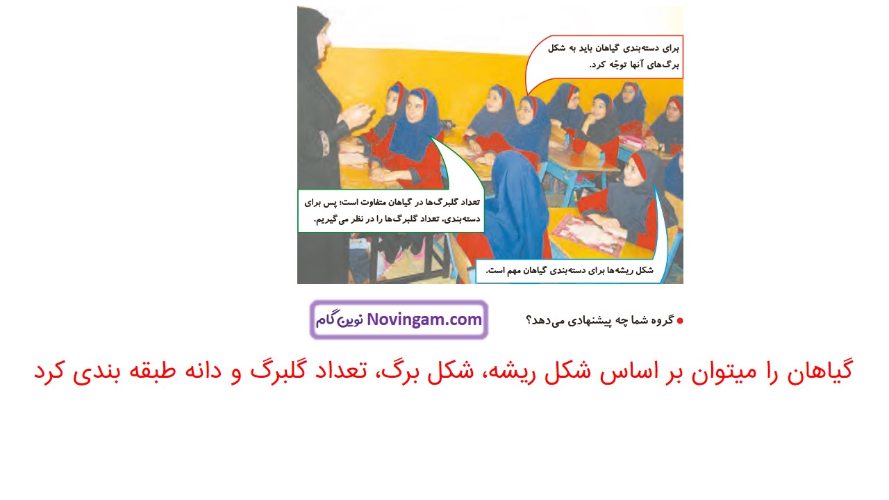 جواب صفحه ۱۰۴ و ۱۰۵ علوم چهارم قسمت اول