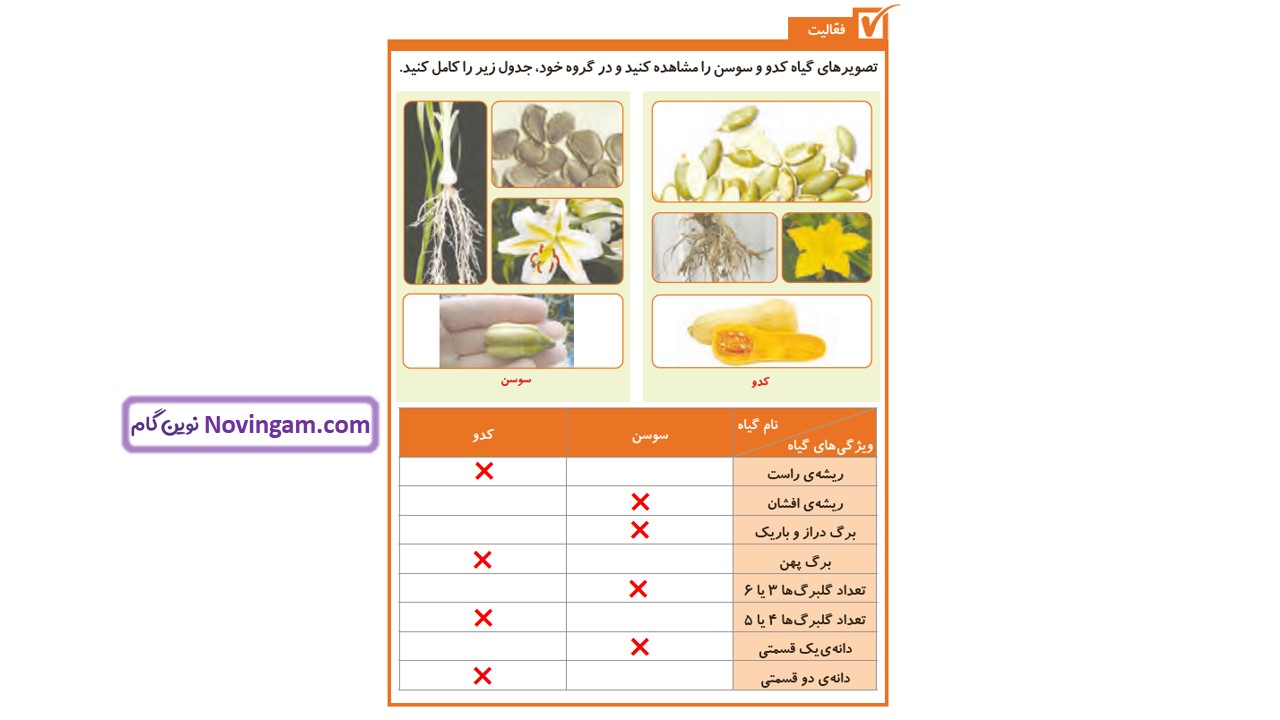 جواب صفحه ۱۰۴ و ۱۰۵ علوم چهارم قسمت دوم