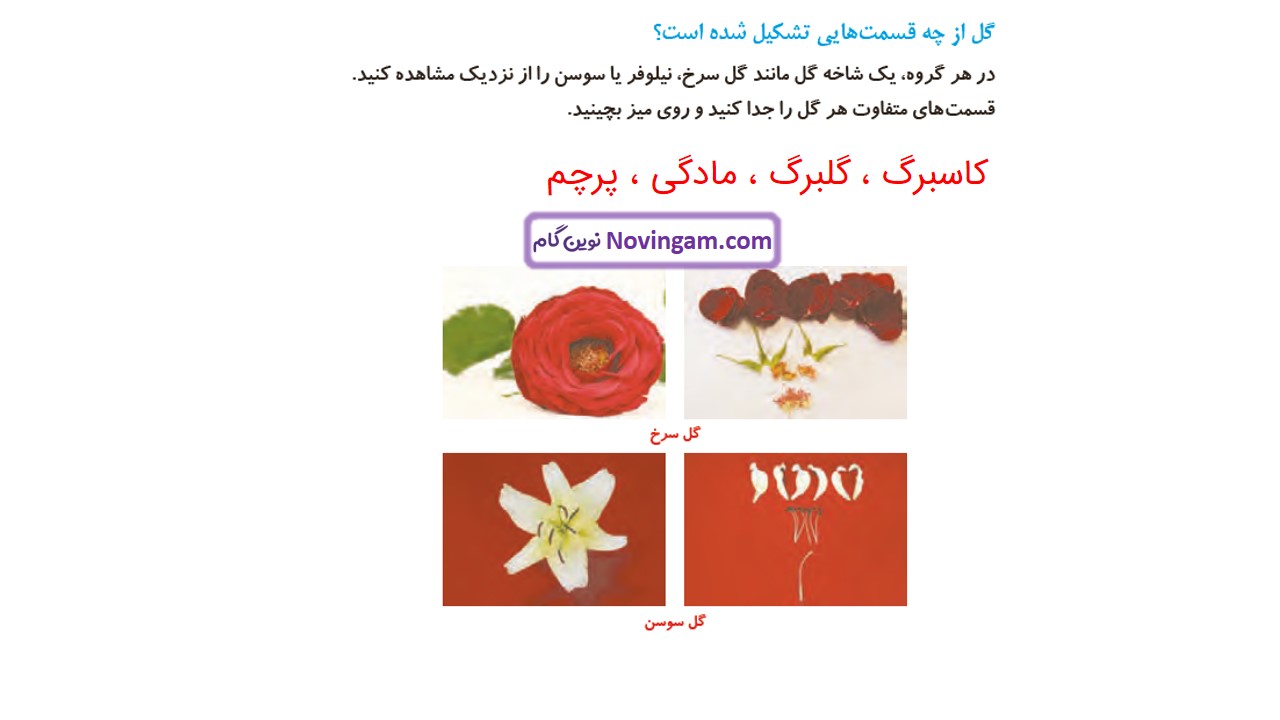 جواب صفحه ۱۰۶ و ۱۰۷ علوم چهارم قسمت اول
