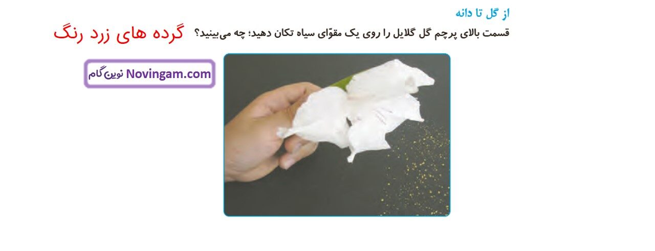 جواب صفحه ۱۰۶ و ۱۰۷ علوم چهارم قسمت دوم