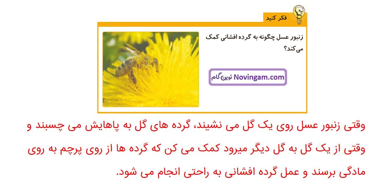 جواب صفحه ۱۰۶ و ۱۰۷ علوم چهارم قسمت سوم