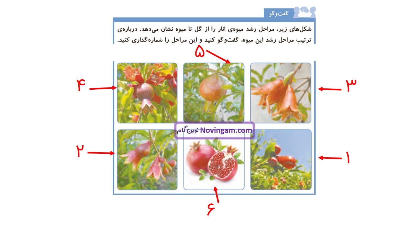 جواب صفحه ۱۰۶ و ۱۰۷ علوم چهارم قسمت چهارم