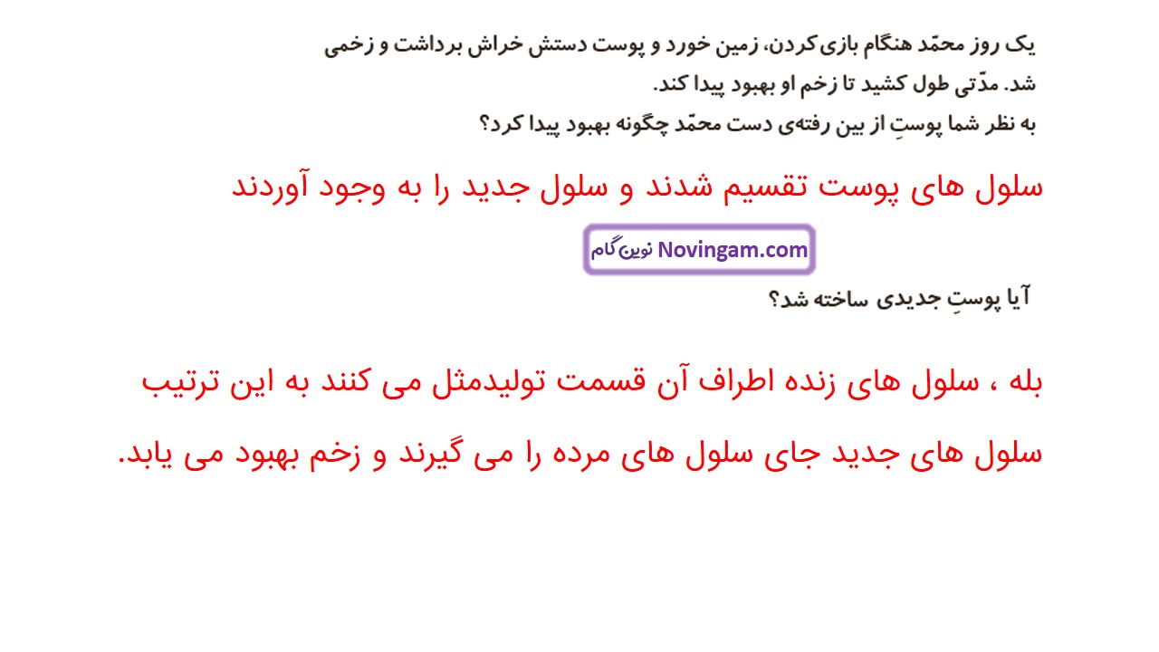 جواب صفحه ۷۸ علوم چهارم قسمت اول
