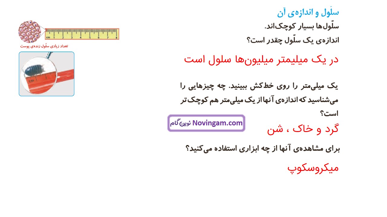 جواب صفحه ۷۸ علوم چهارم قسمت سوم