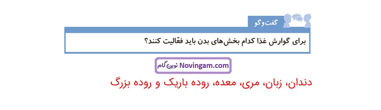جواب صفحه ۸۱ و ۸۲ علوم چهارم قسمت اول