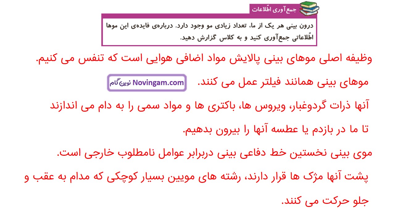 جواب صفحه ۸۶ علوم چهارم قسمت دوم