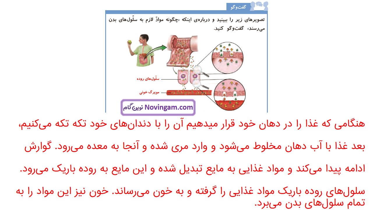 جواب صفحه ۹۰ علوم چهارم قسمت اول