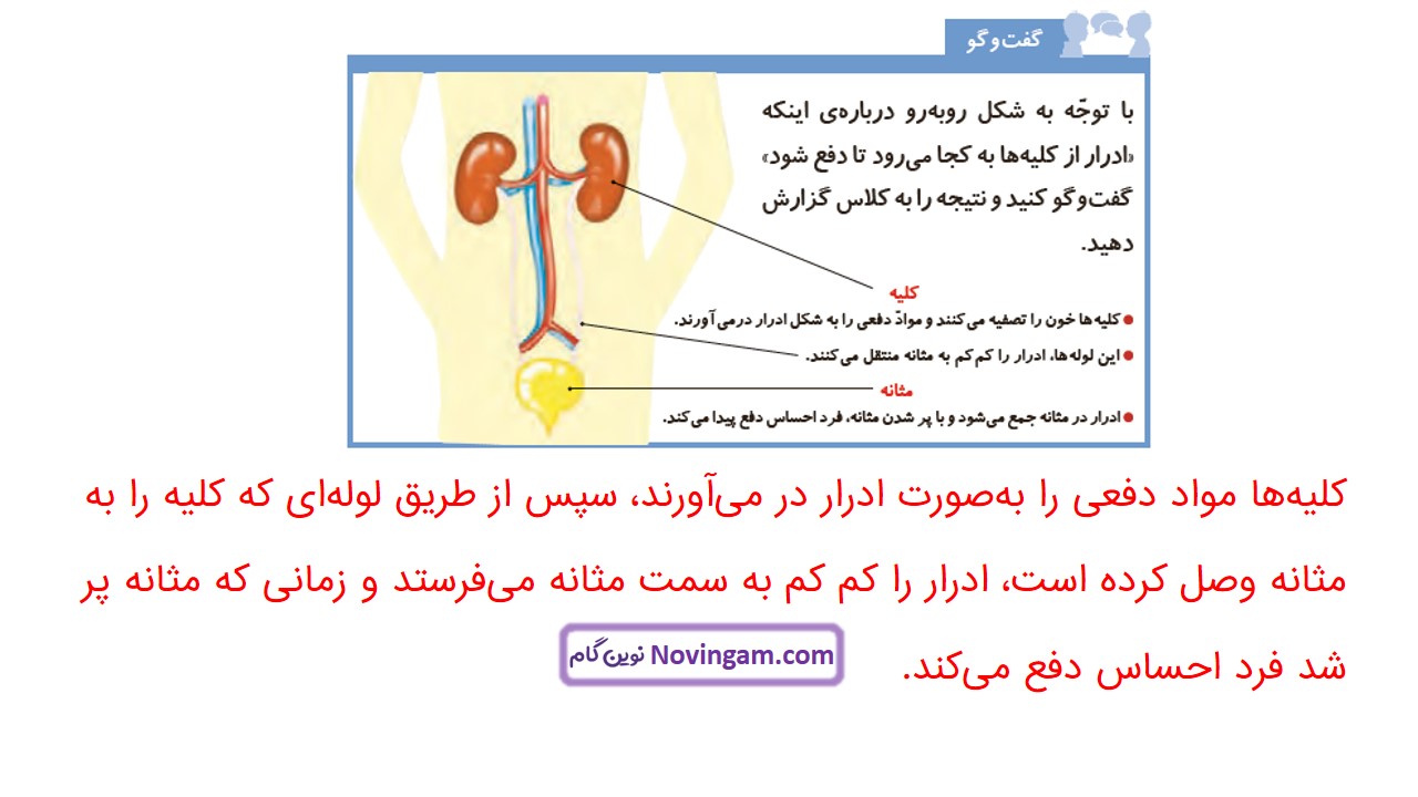جواب صفحه ۹۱ علوم چهارم