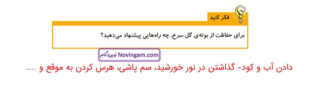 جواب صفحه ۹۶ علوم چهارم قسمت دوم