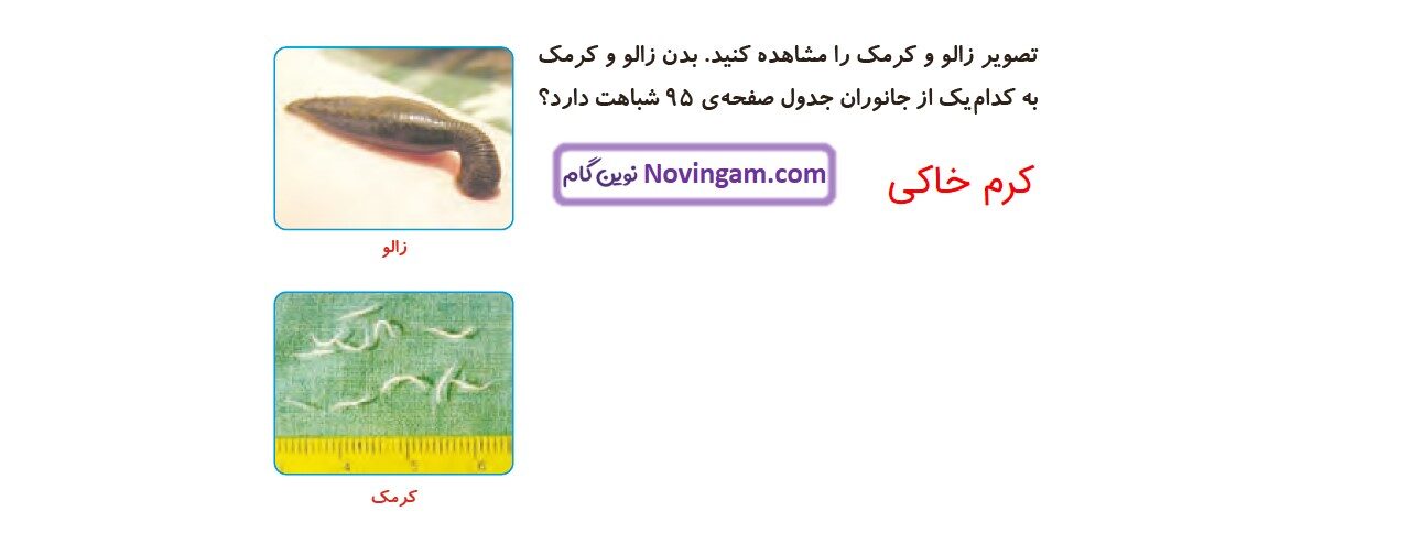 جواب صفحه ۹۷ و ۹۸ علوم چهارم قسمت دوم