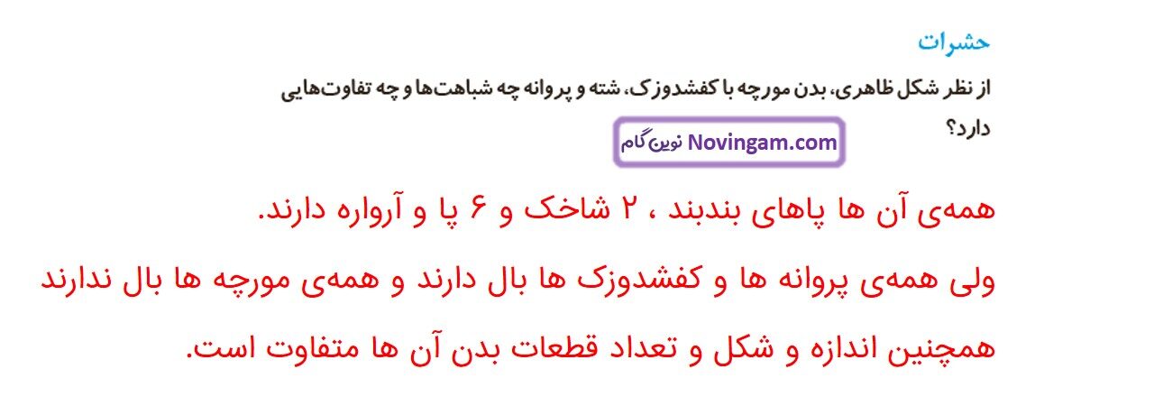جواب صفحه ۹۷ و ۹۸ علوم چهارم قسمت سوم