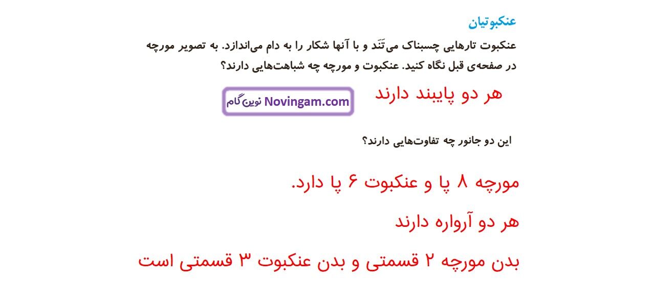 جواب صفحه ۹۹ و ۱۰۰ علوم چهارم قسمت دوم