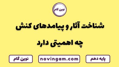 اهمیت شناخت آثار و پیامد کنش