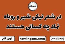 در شعر نیکی شیر و روباه نماد چه کسانی هستند