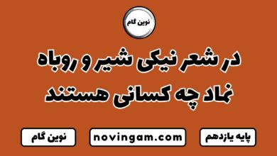 در شعر نیکی شیر و روباه نماد چه کسانی هستند