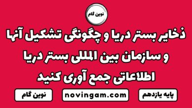 ذخایر بستر دریا و چگونگی تشکیل آنها و سازمان بین المللی بستر دریا اطلاعاتی جمع آوری کنید