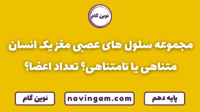 سلول های مغز انسان متناهی یا نامتناهی
