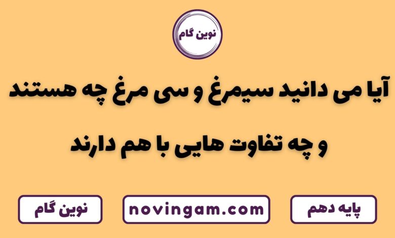 سیمرغ و سی مرغ چه تفاوتی دارند