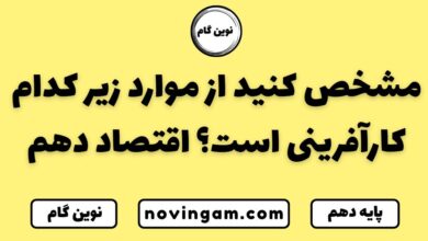 مشخص کنید از موارد زیر کدام کارآفرینی است اقتصاد دهم