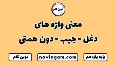 معنی واژه های دغل جیب دون همتی