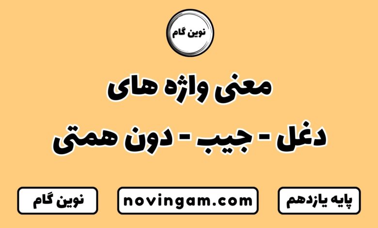 معنی واژه های دغل جیب دون همتی